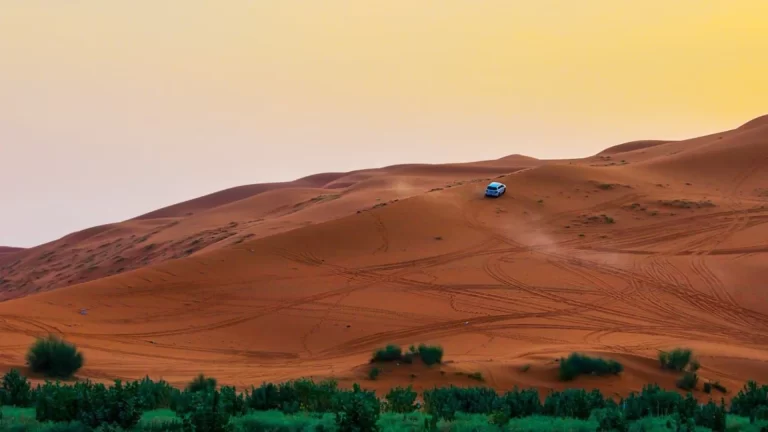 السياحة السعودية