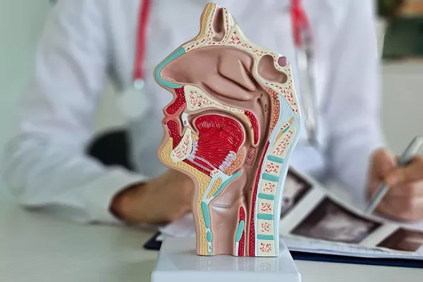 أفضل دكتور انف واذن وحنجره في الكويت